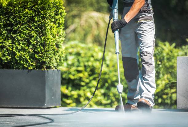 Best Driveway Pressure Washing  in Burlington, ND